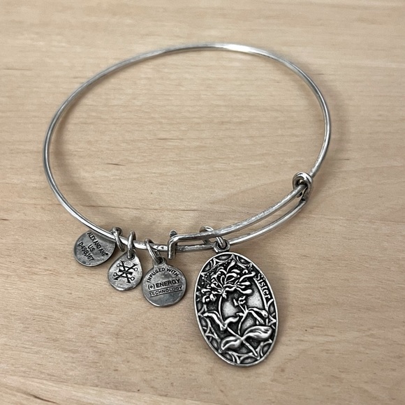 Alex and Ani Bangle charm Bracelet Sister, irreplaceable, forever, friend - Picture 1 of 5